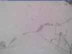 20240325_160001-1.jpg 