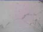 20240325_162002-1.jpg 