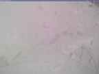 20240325_164001-1.jpg 