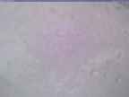 20240325_170002-1.jpg 