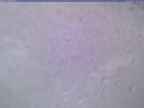 20240325_174001-1.jpg 