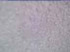 20240326_064001-1.jpg 