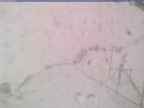 20240326_134001-1.jpg 