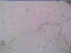20240326_140002-1.jpg 