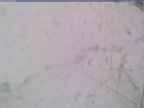20240326_142001-1.jpg 