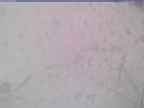 20240326_144001-1.jpg 
