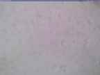 20240326_150002-1.jpg 