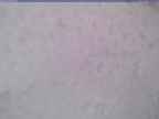 20240326_154001-1.jpg 