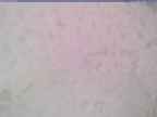 20240326_160002-1.jpg 