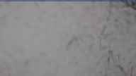 20240329_080002.jpg 