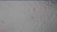20240329_090002.jpg 