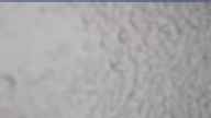 20240329_110002.jpg 