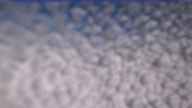 20240329_132002.jpg 