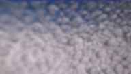 20240329_134002.jpg 