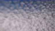 20240329_140002.jpg 