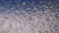 20240329_150002.jpg 