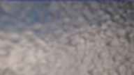 20240329_160001.jpg 