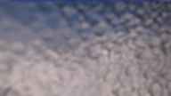 20240329_164001.jpg 