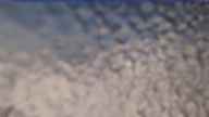 20240329_170002.jpg 