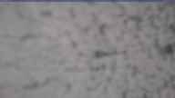 20240330_064001.jpg 