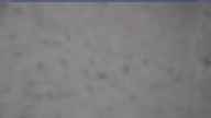 20240331_064001.jpg 