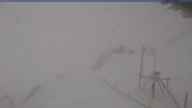 20240403_130001.jpg 