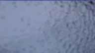 20240404_060002.jpg 