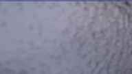 20240404_062002.jpg 