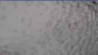 20240404_064001.jpg 
