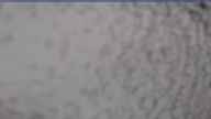 20240404_070002.jpg 