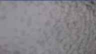 20240404_072002.jpg 