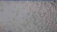 20240404_074002.jpg 