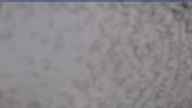 20240404_080002.jpg 