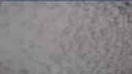 20240404_082002.jpg 