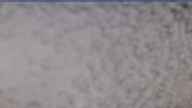 20240404_084002.jpg 
