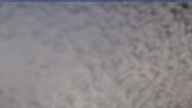 20240404_094002.jpg 