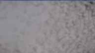 20240404_100002.jpg 