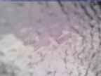 20240404_150002-1.jpg 