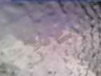 20240404_160002-1.jpg 