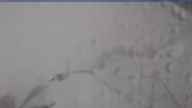 20240409_072002.jpg 