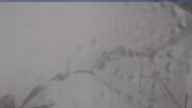 20240409_080002.jpg 