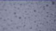 20240409_162002.jpg 