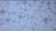 20240417_054002.jpg 