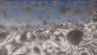 20240417_160002.jpg 