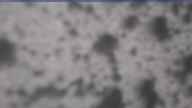 20240419_070002.jpg 