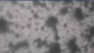 20240419_074002.jpg 