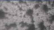 20240419_080002.jpg 