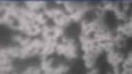 20240419_090002.jpg 
