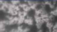 20240419_100001.jpg 
