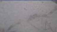20240421_054002.jpg 